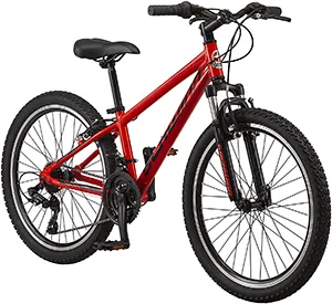 red schwinn