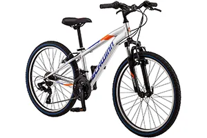 Schwinn High Timber Youth Mountain Bike
